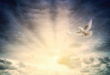 What Is a Vagabond Spirit